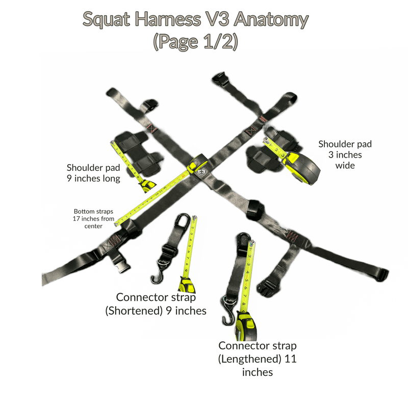 Load image into Gallery viewer, Squat Harness - Premium Adjustable V3