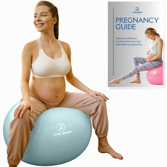 ProBody Pilates - Pregnancy Ball for Maternity, Labor and Birth. Includes Pregnancy Guide. (Mist)