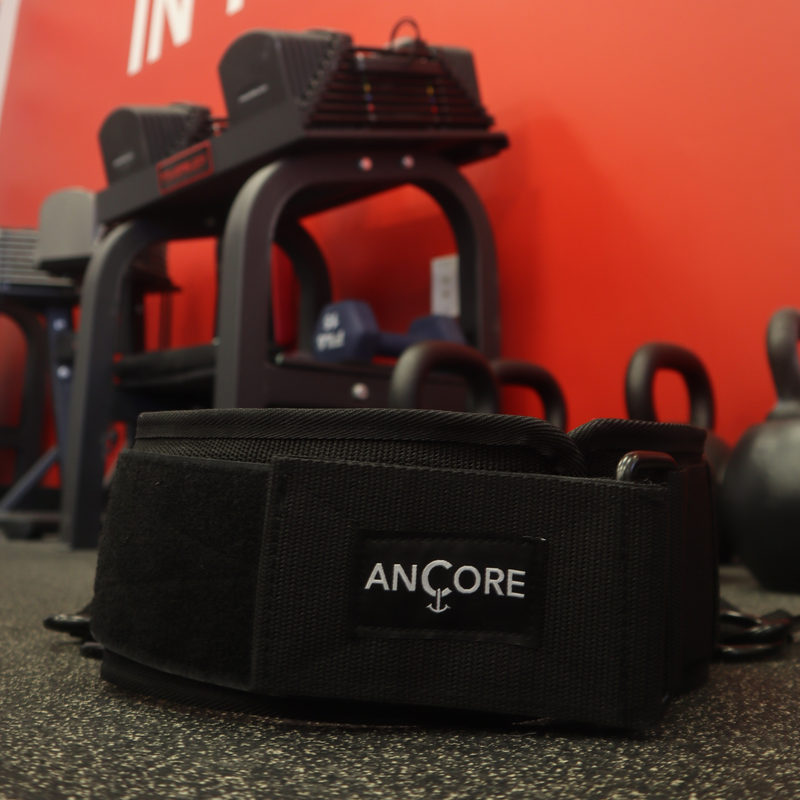 Load image into Gallery viewer, ANCORE - Waist Belt
