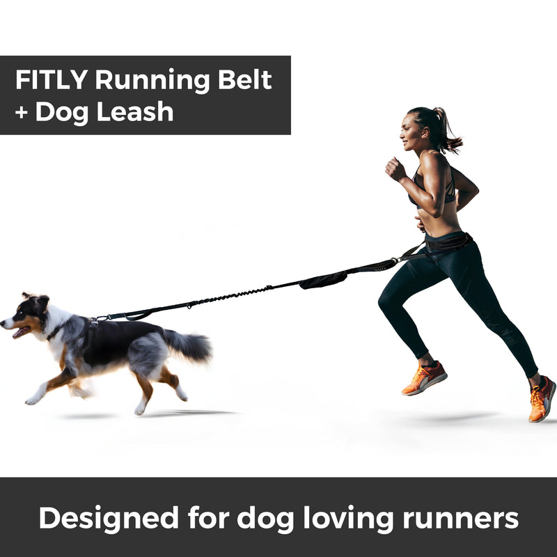 Load image into Gallery viewer, Fitly - Running Belt + Dog Leash - Blue
