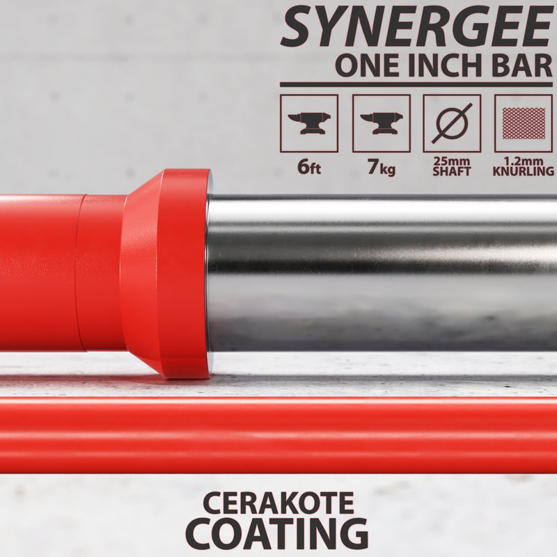 Load image into Gallery viewer, Synergee - Synergee 1" Barbell