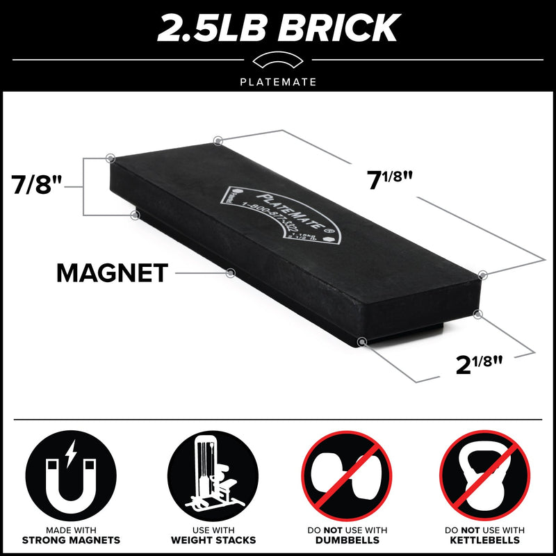 Load image into Gallery viewer, Serious Steel Fitness - 2.5 lb Brick