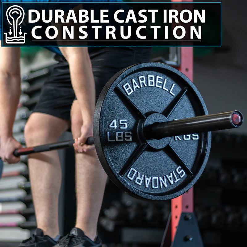 Load image into Gallery viewer, Synergee - Standard Metal Weight Plates