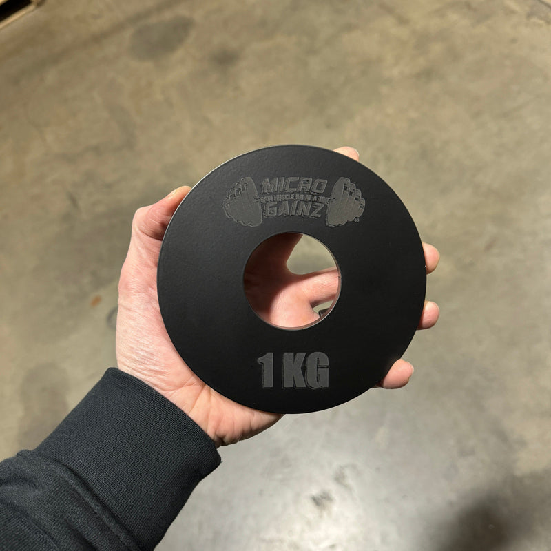 Load image into Gallery viewer, Micro Gainz - Olympic Size Kilogram Fractional Steel Weight Plates 1 Kg Plates: Set of 2