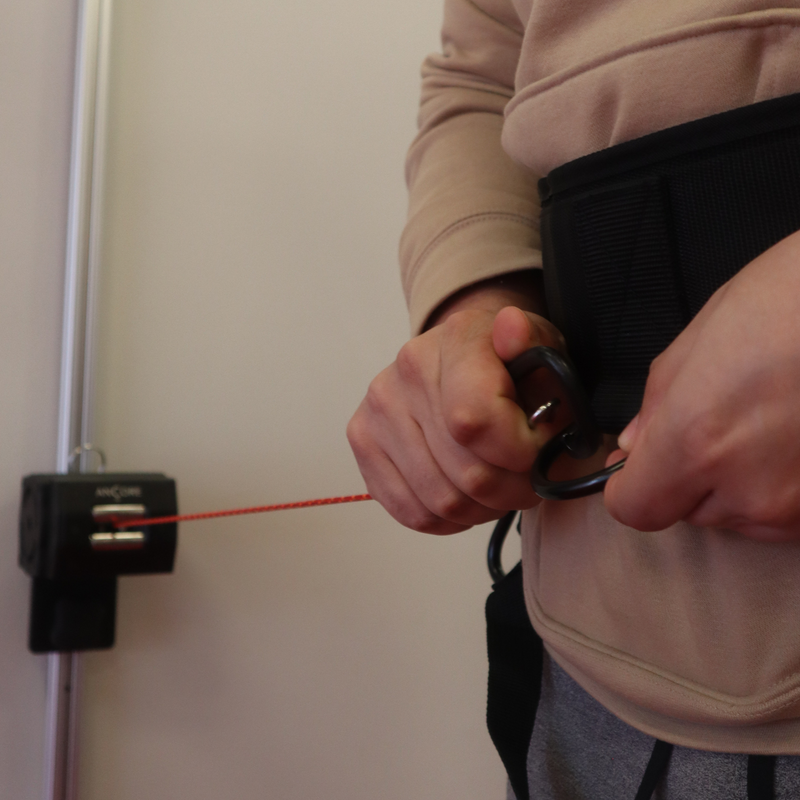 Load image into Gallery viewer, ANCORE - Waist Belt