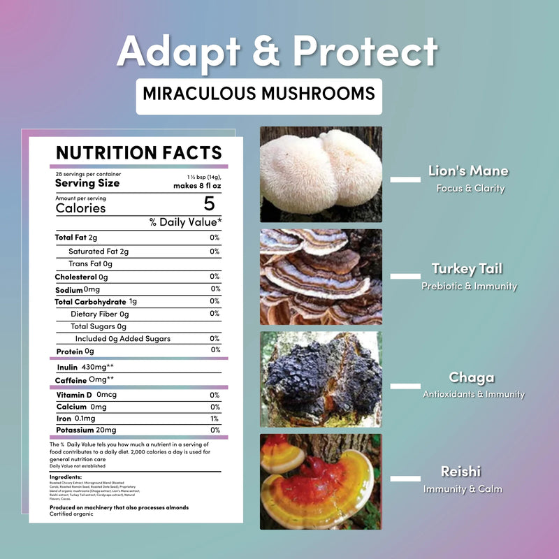 Load image into Gallery viewer, Teeccino - Miraculous Mushrooms® Adapt & Protect Instant Herbal Coffee