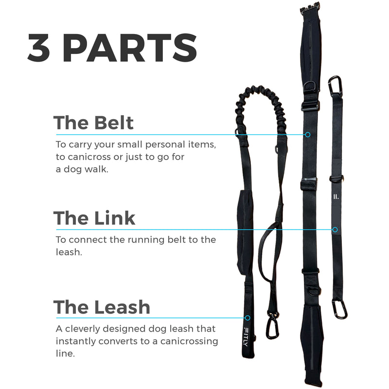 Load image into Gallery viewer, Fitly - Running Belt + Dog Leash - Blue