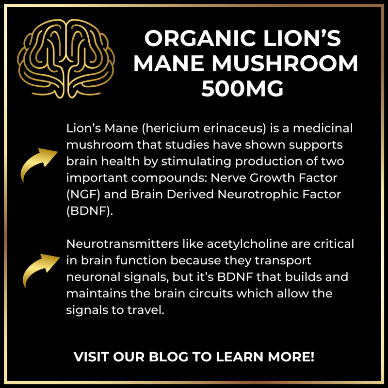 Load image into Gallery viewer, Keto Brainz Nootropics - In KBZ Long Handled Spoon+ Keto Brainz Nootropic Creamer Properly Capitalize The First Letter Of Every Word