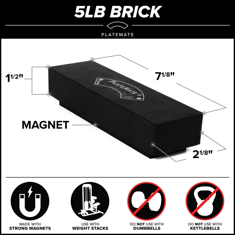Load image into Gallery viewer, Serious Steel Fitness - 5 lb Brick PlateMate