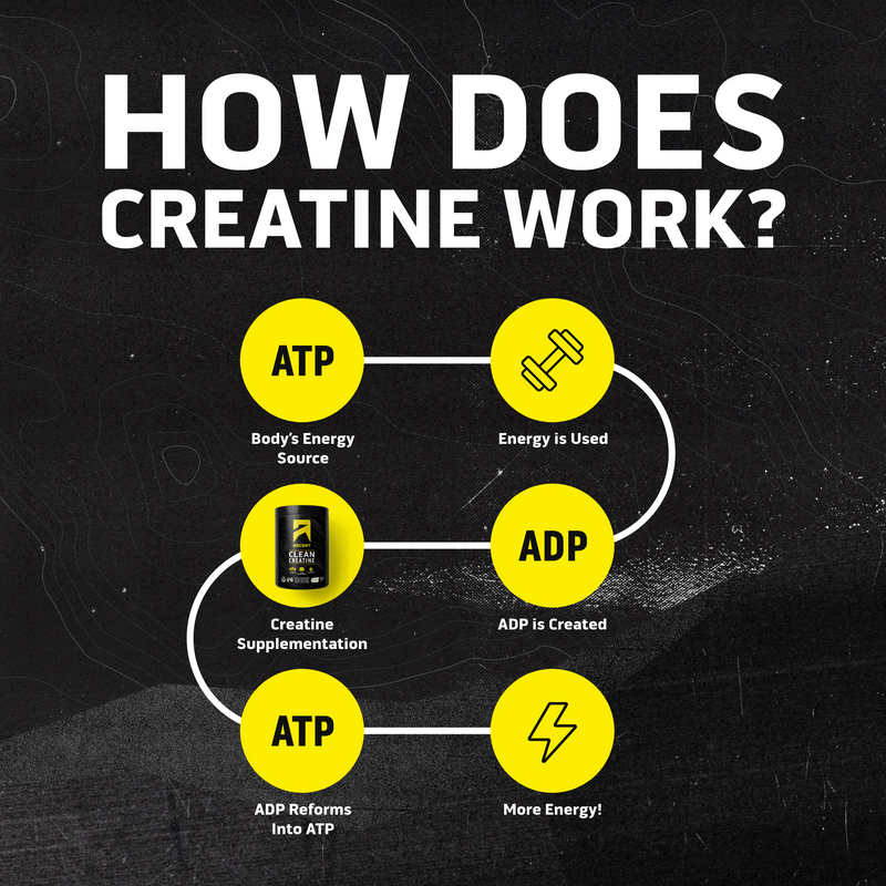 Load image into Gallery viewer, How creatine works - ATP energy diagram