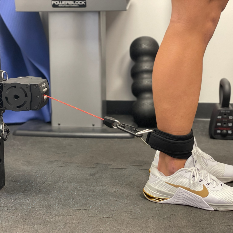 Load image into Gallery viewer, Ancore - Ankle Strap