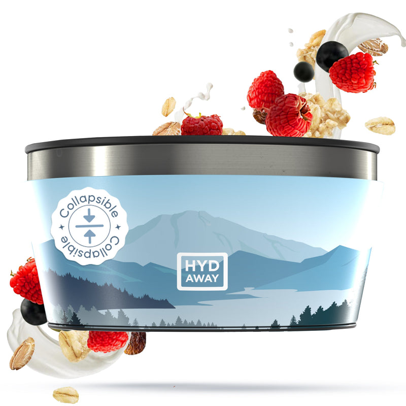 Load image into Gallery viewer, Hydaway - Collapsible Insulated Bowl | 1-Quart