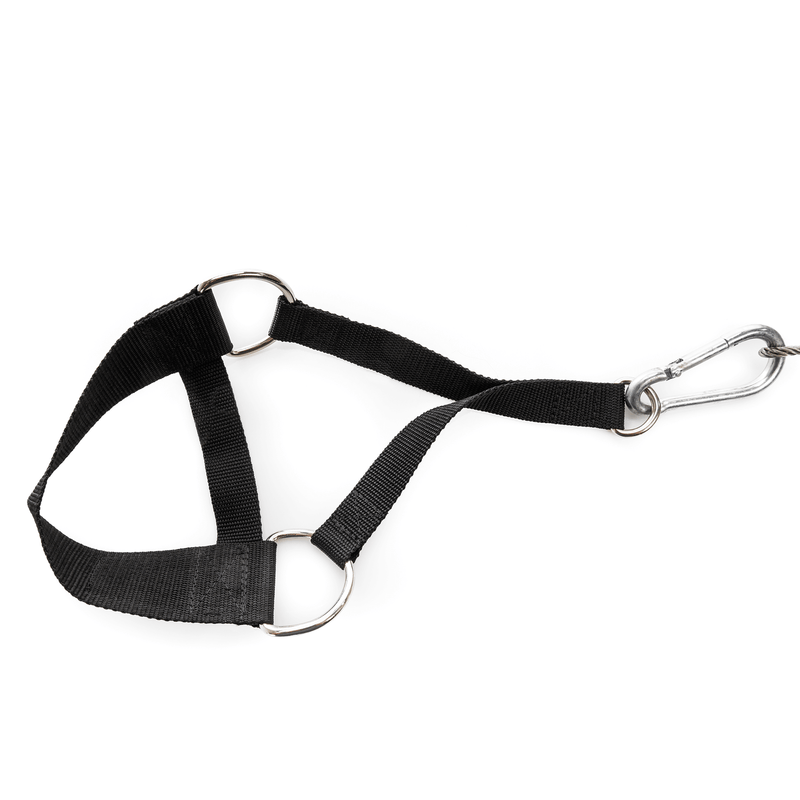Load image into Gallery viewer, BC Strength - Foot Strap