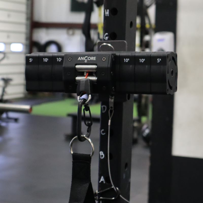 Load image into Gallery viewer, Ancore - Ancore Pro