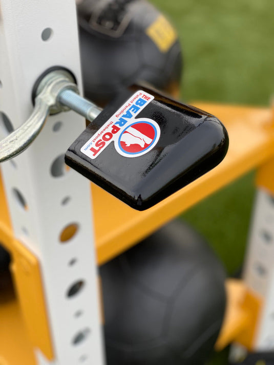 The Bear Post - The Bear Post