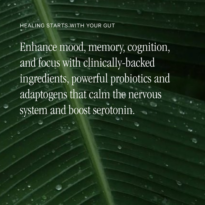 Load image into Gallery viewer, Juna - Gut Therapy