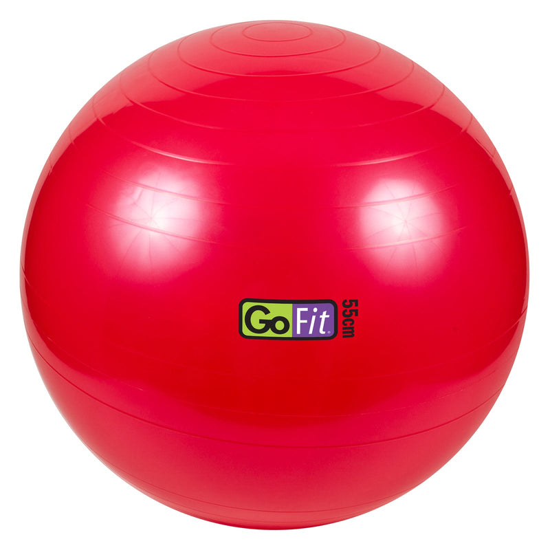 Load image into Gallery viewer, GoFit - Stability ball