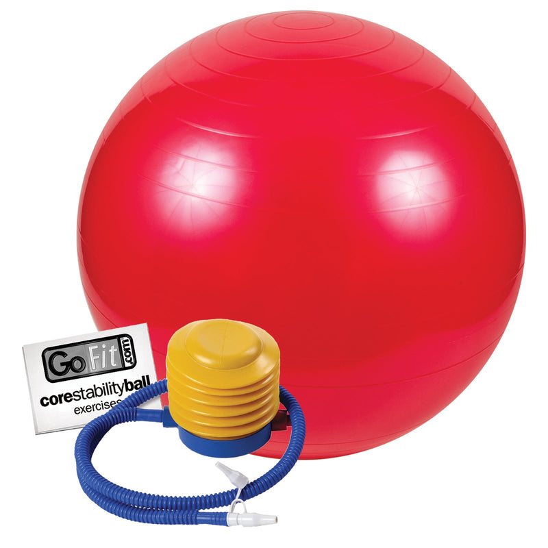 Load image into Gallery viewer, GoFit - Stability ball