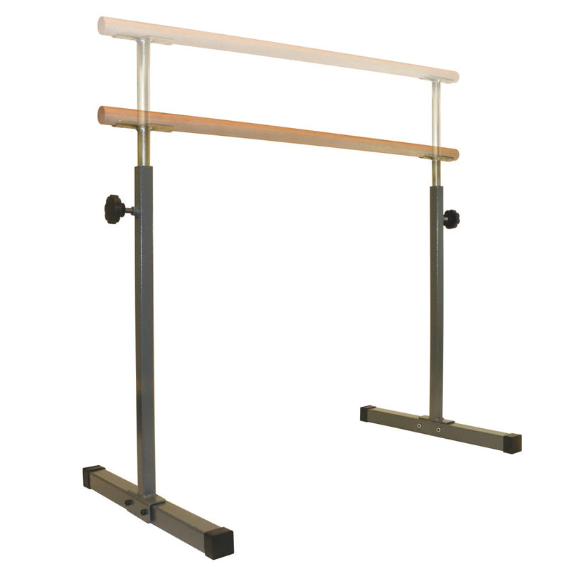 Load image into Gallery viewer, GoFit - GoBarre Workout Set