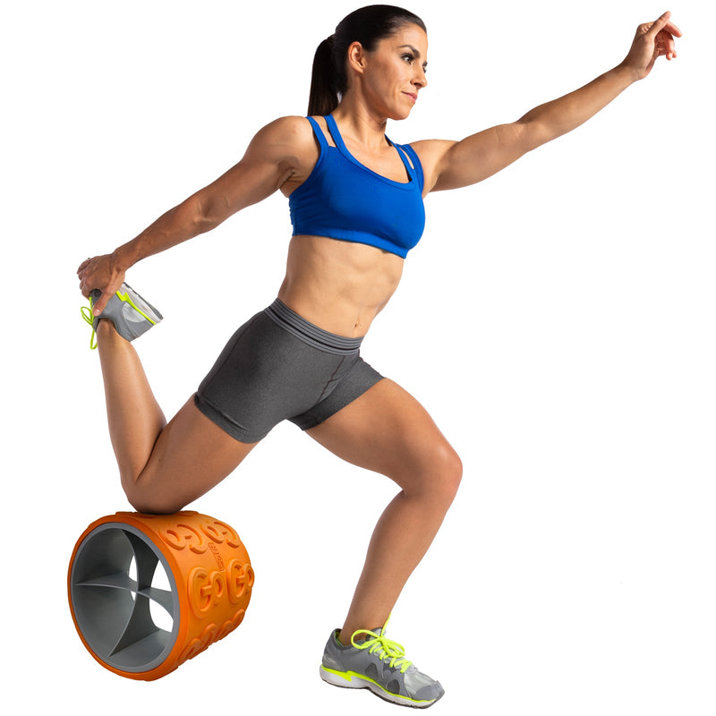 Load image into Gallery viewer, GoFit - GoWheel (12-inch)
