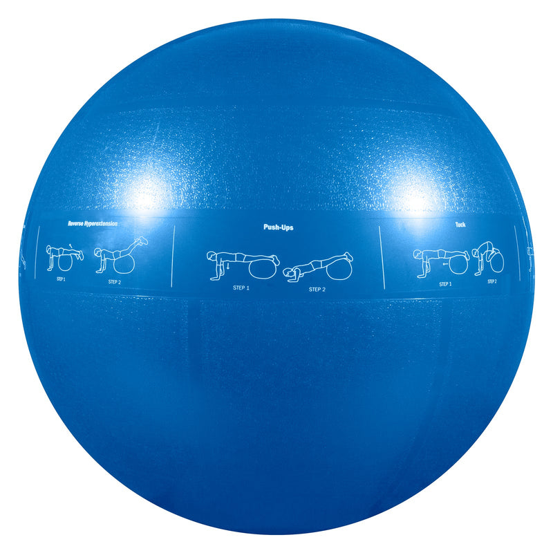Load image into Gallery viewer, GoFit - Guide Ball - Pro Grade Stability Ball