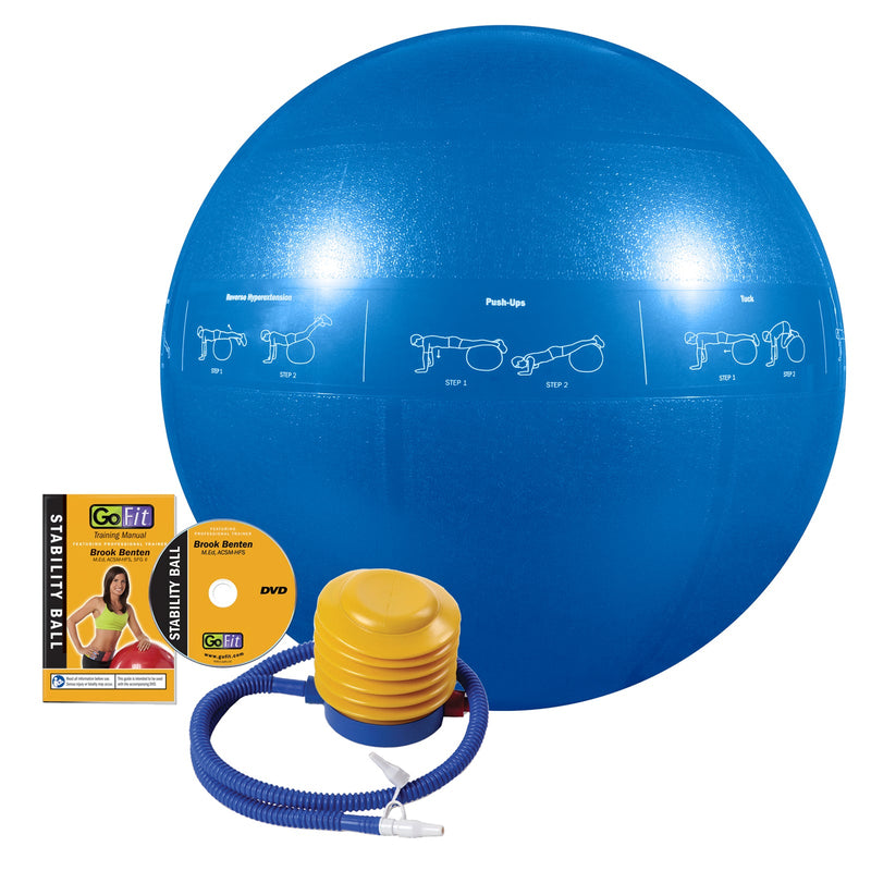 Load image into Gallery viewer, GoFit - Guide Ball - Pro Grade Stability Ball