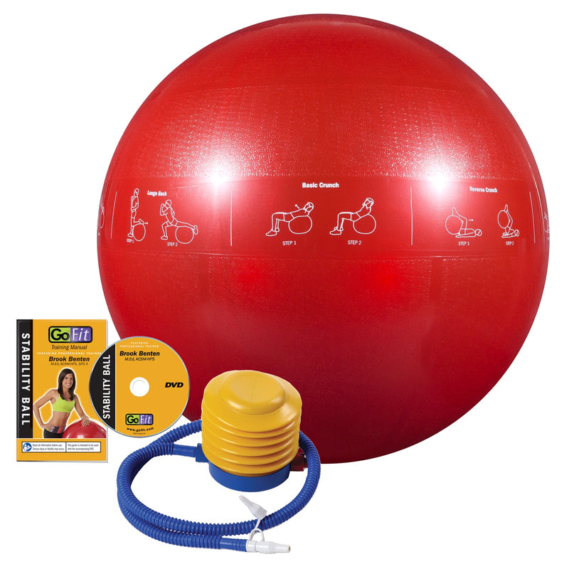 Load image into Gallery viewer, GoFit - Guide Ball - Pro Grade Stability Ball