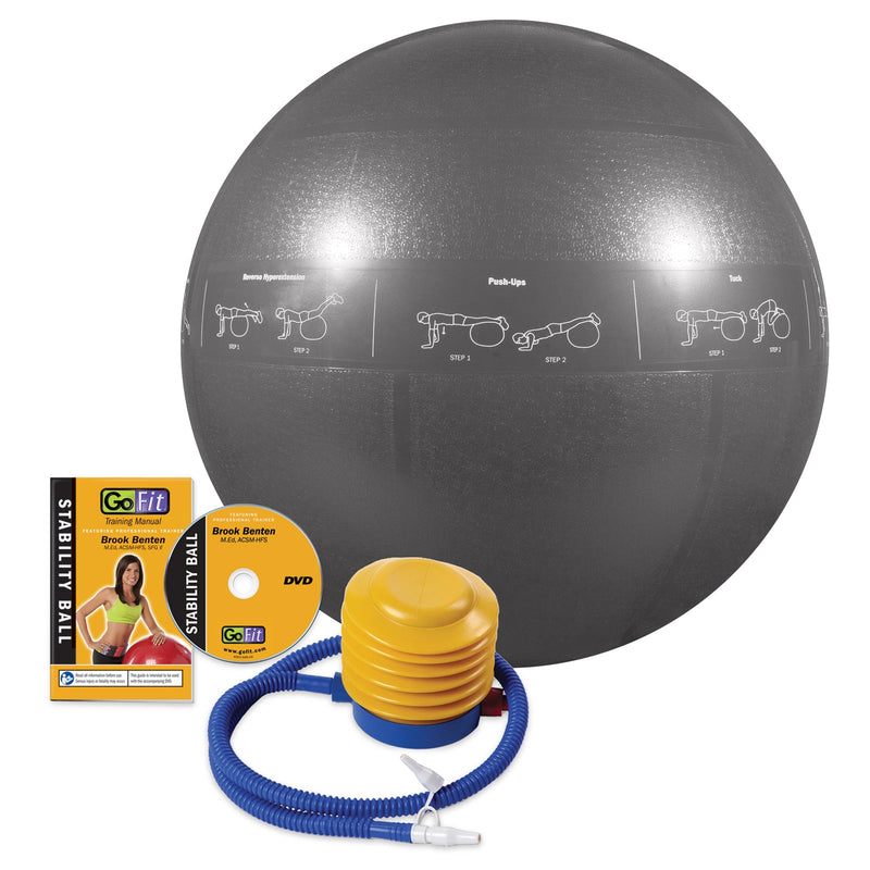 Load image into Gallery viewer, GoFit - Guide Ball - Pro Grade Stability Ball