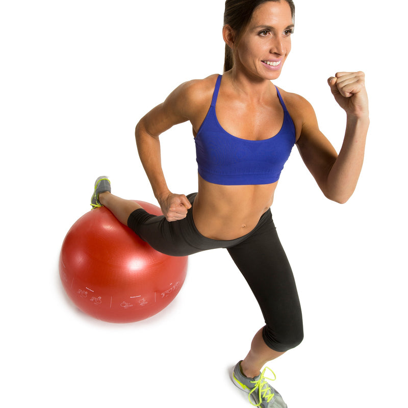 Load image into Gallery viewer, GoFit - Guide Ball - Pro Grade Stability Ball