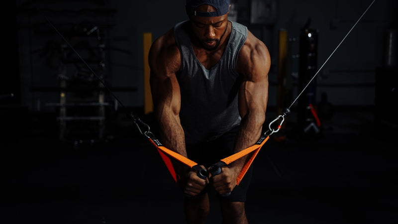 Load image into Gallery viewer, Mark Bell Sling Shot- Shake Handle Attachment (Pair)