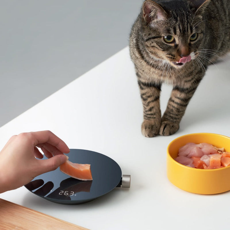 Load image into Gallery viewer, HOTO - Smart Kitchen Scale