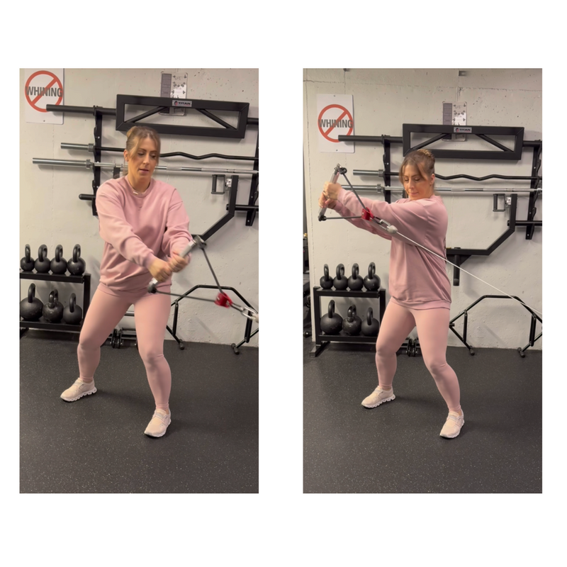 Load image into Gallery viewer, Squat Harness - Core-Saber