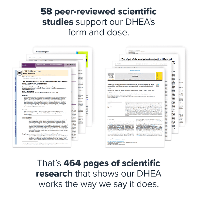 Load image into Gallery viewer, Legion Athletics - DHEA