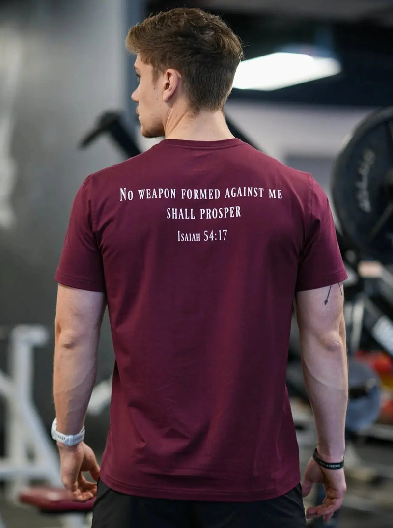 Load image into Gallery viewer, HolStrength - Sovereign Performance Tee - Shirts & Tops