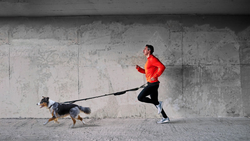 Load image into Gallery viewer, Fitly - Running Belt + Dog Leash - Blue
