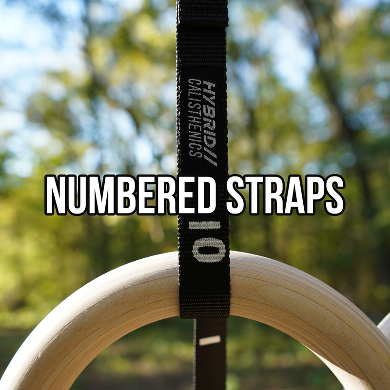 Load image into Gallery viewer, Hybrid Calisthenics Shop - Gymnastic Rings (Pre-Order)