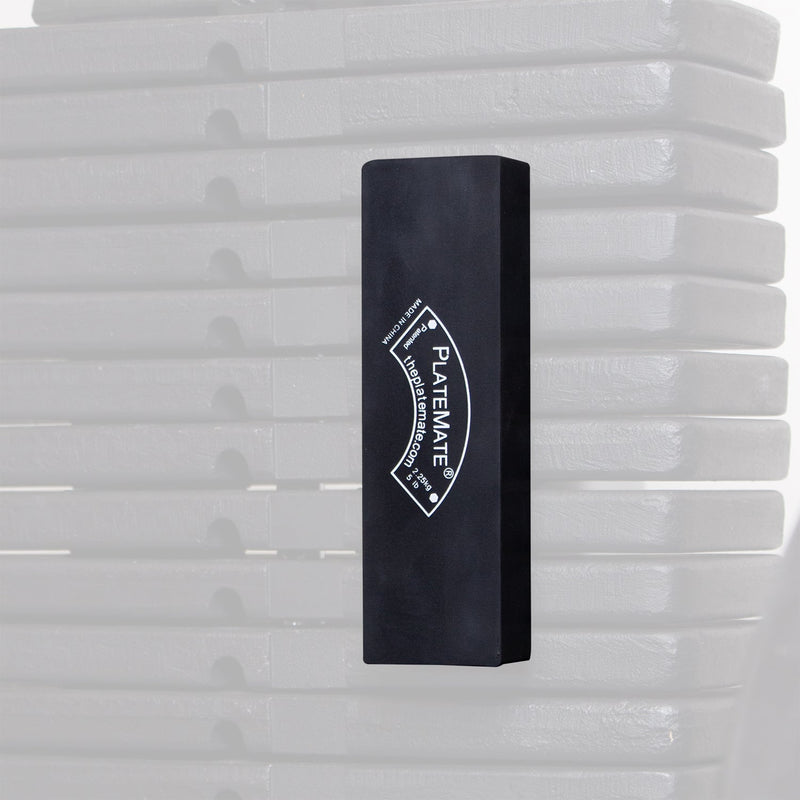 Load image into Gallery viewer, Serious Steel Fitness - 5 lb Brick PlateMate