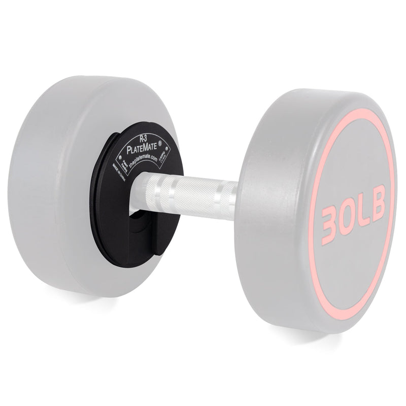 Load image into Gallery viewer, Serious Steel Fitness - 1.25lb R-3 PlateMate (Pair)