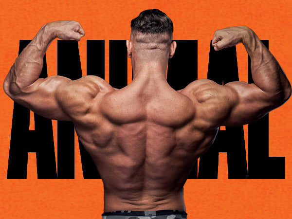 Load image into Gallery viewer, Animal Pre-Workout Pump (30 Packs)