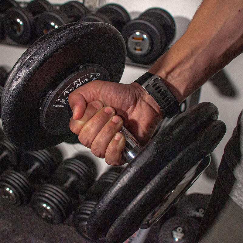 Load image into Gallery viewer, Serious Steel Fitness - 1.25lb R-3 PlateMate (Pair)