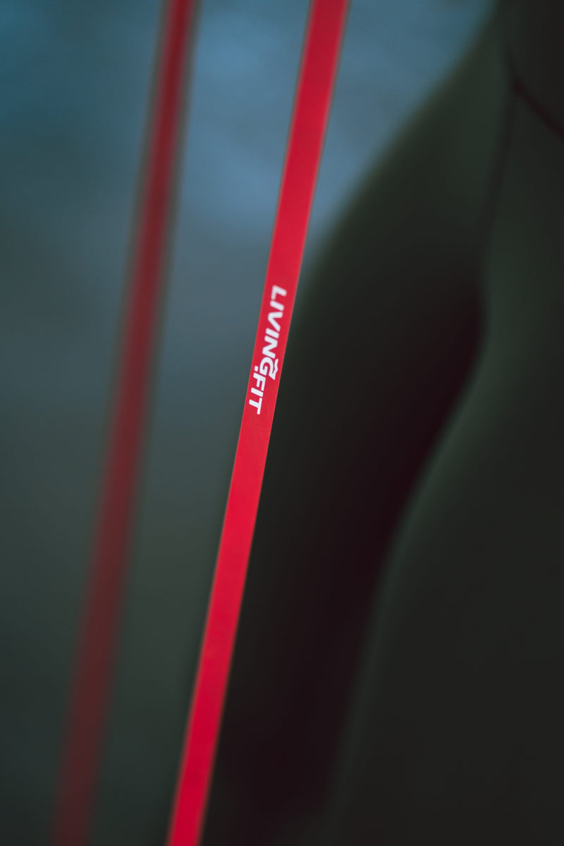 Load image into Gallery viewer, Living.Fit - Resistance Bands – Strength, Flexibility & Pull-Up Assistance - 41"