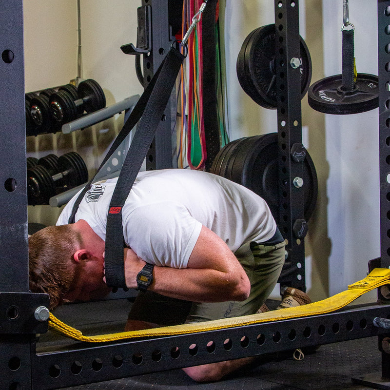 Load image into Gallery viewer, Serious Steel Fitness - Tricep Strap & Ab Strap