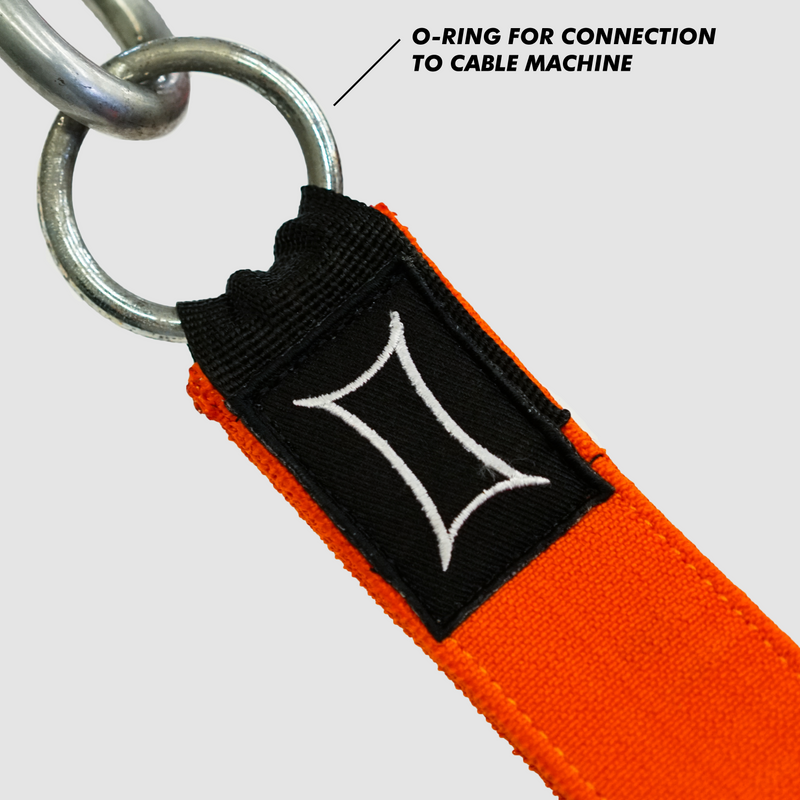 Load image into Gallery viewer, Mark Bell Sling Shot- Shake Handle Attachment (Pair)