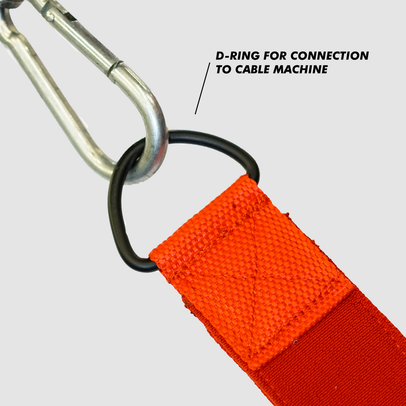 Load image into Gallery viewer, Mark Bell Sling Shot- Tricep Shake Strap