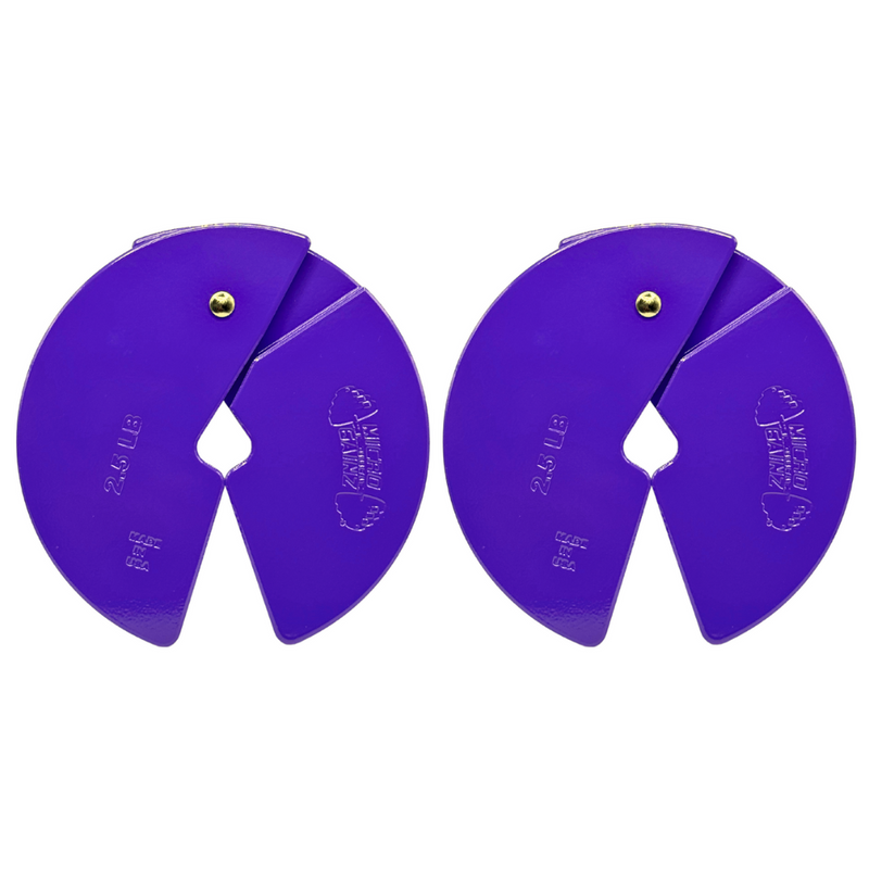 Load image into Gallery viewer, Micro Gainz - Purple 2.5lb Dumbbell Fractional Weight Plates
