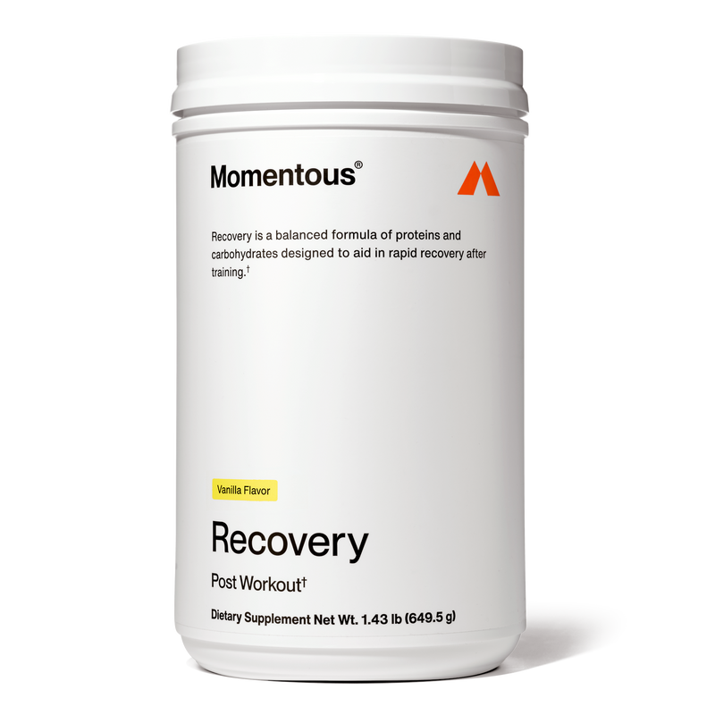 Load image into Gallery viewer, Momentous - In Recovery