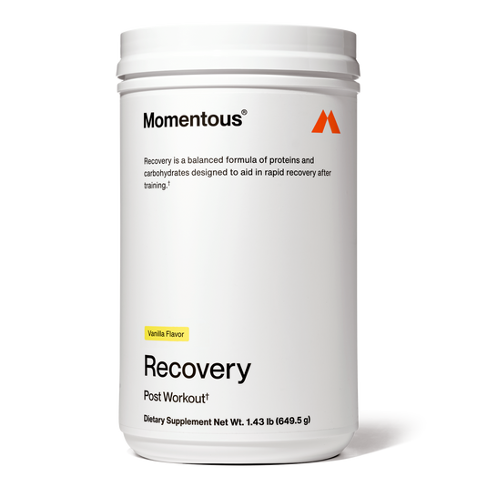 Momentous - In Recovery