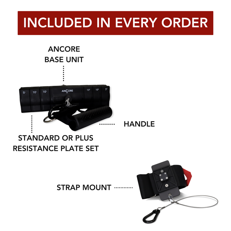 Load image into Gallery viewer, Ancore - Ancore