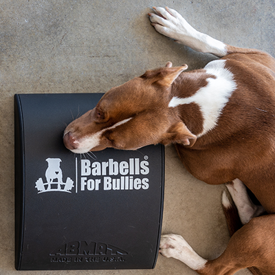 Load image into Gallery viewer, AbMat - Barbells for Bullies