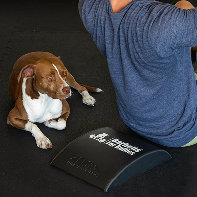 Load image into Gallery viewer, AbMat - Barbells for Bullies